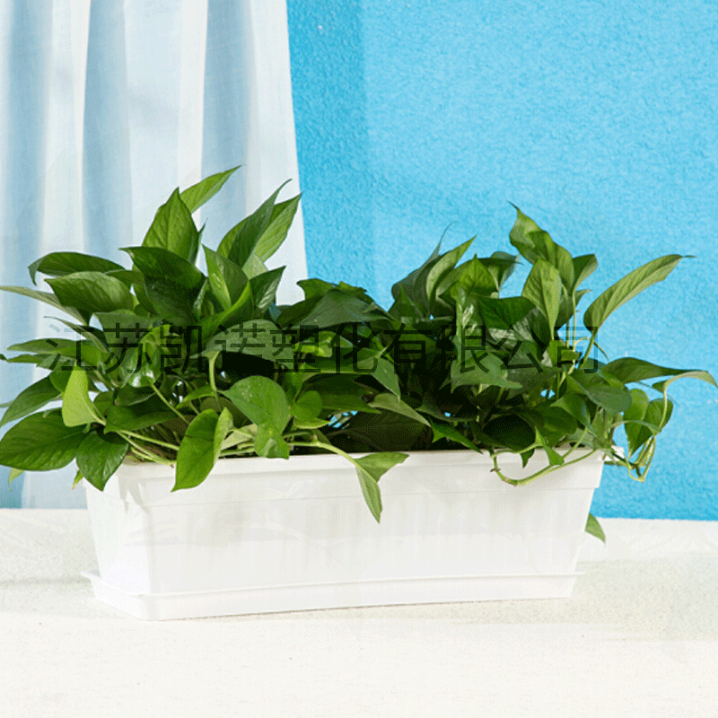 有關改性尼龍:陽臺綠化使用塑料花盆是否有害健康?